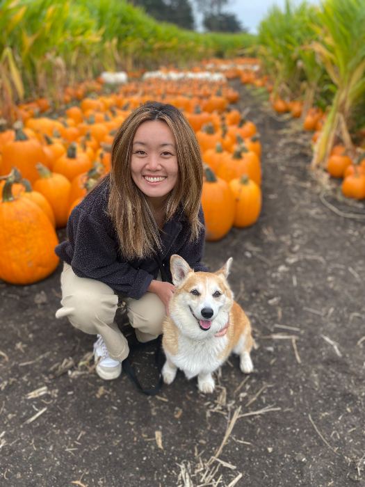 Pumpkin patch