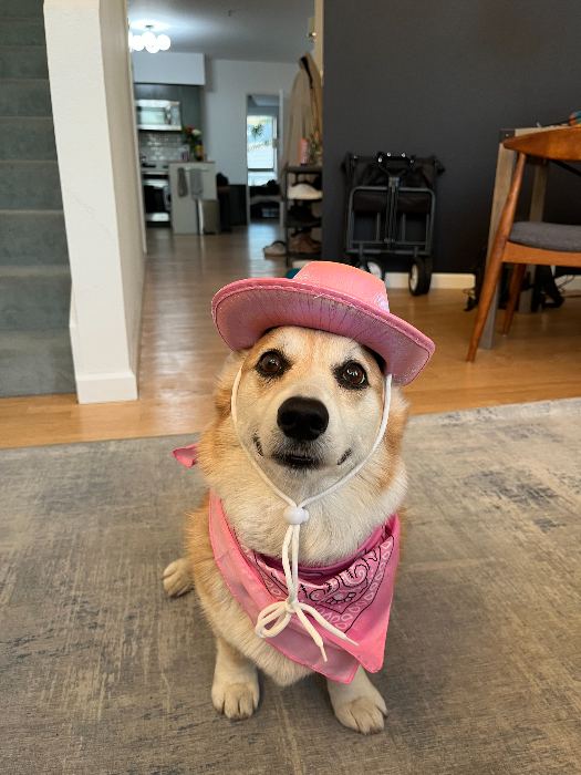 Pink era